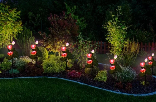LED-Gartenleuchte Solar Blume Lotos, Seerose | 72 cm, 600 mAh | pink | FLD-25-PINK