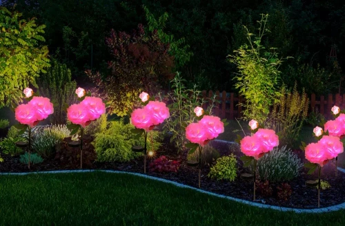 Solarblume | Solar-LED-Gartenlaterne Peonia in Rosa | 80 cm, 600 mAh | FLD-10-PINK