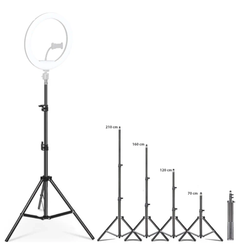 Seny-210 cm.