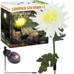 LED-Gartenleuchte Solar-Chrysantheme | 72 cm, 600 mAh | weiß | FLD-26-WHITE