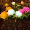 Solarblume | Solar-LED-Gartenlaterne Peonia weiß | 80 cm, 600 mAh | FLD-10-WHITE