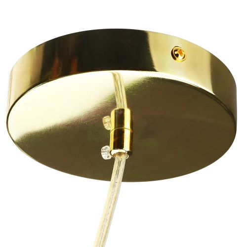 Wandleuchte mit unregelmäßiger Form | Moderne Hängelampe | XDL-C300-GOLD
