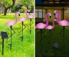 Garten Solar-LED-Laterne Flamingos 3er Set | 51cm, 600mAh | BRD-3IN1
