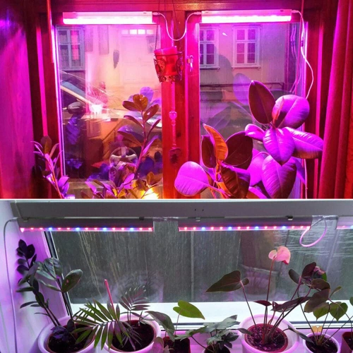 LED-Pflanzenleuchte | 6 W für Pflanzenwachstum | DG-T5-Whitel