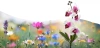 Solarblume | Solar-LED-Gartenlampe Orchidee | 75 cm, 600 mAh | FLD-23-WP