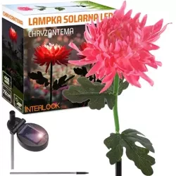 LED-Gartenleuchte Solar Chrysanthème | 72 cm, 600 mAh | pink | FLD-26-PINK