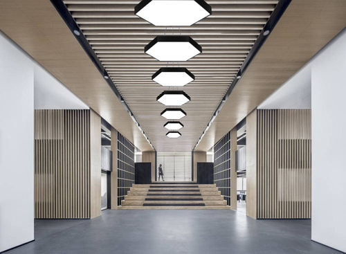 LED-Pendelleuchte | 50 W | Voll-Hexagon | Aluminium | CCD flimmerfrei | Ø 60x6 cm | LPL-003