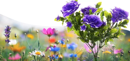 Solarblume | Solar-LED-Gartenlaterne Begonia | 60 cm, 600 mAh | FLD-27-PURPLE