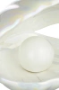 Keramik-LED-Lampe | Muschelförmige Nachtlichtlampe | Kabellose Tischlampe | BKD-140-WEISS