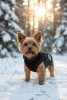 Winterhundejacke mit Geschirr | Größe M | schwarz | PET-016M-BK