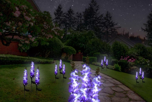 Solarblume | Solar-LED-Gartenlaterne Rittersporn | 72 cm, 600 mAh | FLD-33-PURPLE