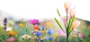 Solarblume | Solar-LED-Gartenlaterne Kalia | 67 cm, 600 mAh | FLD-38-PINK