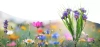 Solarblume | Solar-LED-Gartenlaterne Astra | 60 cm, 600 mAh | FLD-13-P