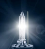 Satz XENON D2S-Lampen