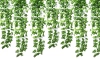 Künstliche Efeuranlage | Dekorative Girlande | Dekoratives Laub | DG-Y230MM-GREEN