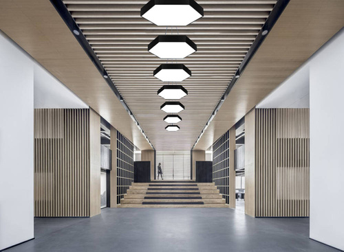 LED-Pendelleuchte | 36 W | Voll-Hexagon | Aluminium | CCD flimmerfrei | Ø 40x6 cm | LPL-003