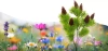 Solarblume | Solar-LED-Gartenlaterne Kiefer | 63 cm, 600 mAh | FLD-30-C