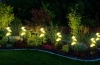 FLD-24 | Solarblume | LED-Solar-Gartenlampe Narzisse Narzisse | 67 cm, 600 mAh