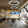 LED-Hängelampe 60W | Sechseck | Aluminium | CCD blendfrei | Φ100x6 | LPL-002