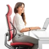 Rückenstütze fürs Auto | Ergonomische Lendenstütze | Rückenstütze für Stuhl oder Sessel | GLY-440-SCHWARZ