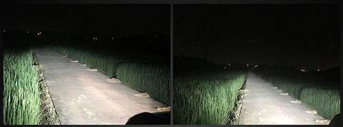 H1 LED Scheinwerferlampen R10 COB 360° Leuchtmittelset | 80W | 20000lm | 2 Stück