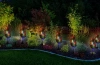Sonnenblume Solar | Garten Solar LED Lampe Zypresse | 80 cm, 600 mAh | FLD-32-C