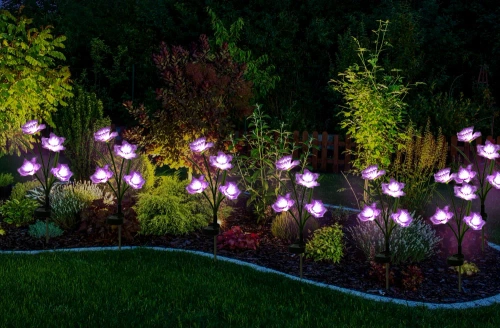 LED-Gartenleuchte Solarblume Narzisse | 67 cm, 600 mAh | violett | FLD-24