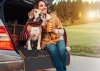 Kofferraummatte, wasserdichte Transporttasche für Tiere | Mit Tasche und abnehmbarem Mesh-Netz | DM-021