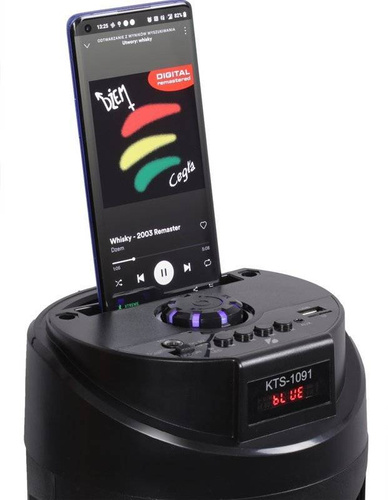 Tragbare Säule | Bluetooth-Lautsprecher | Mikrofoneingang | KTS-1091
