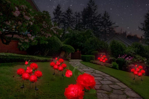 Solarblume | Solar-LED-Gartenlaterne Peonia rot | 80 cm, 600 mAh | FLD-10-RED