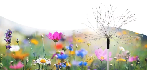 Garten Solar LED Feuerwerk Laterne | 84cm, 600mAh, 200 RGB LED | LFW-B200-Color