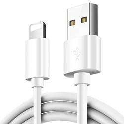 Lightning (iPhone) 1M | USB-Ladekabel für iPhone 5S 6 6S 7 8 + X XS 11 | C01