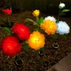 Solarblume | Solar-LED-Gartenlaterne Peonia weiß | 80 cm, 600 mAh | FLD-10-WHITE