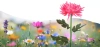 Solarblume | Solar-LED-Gartenlaterne Chrysantheme | 72 cm, 600 mAh | FLD-26-PINK