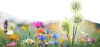 Sonnenblume Solar | Solar-LED-Gartenlampe Knoblauch Ziertrio | 70 cm, 600 mAh | FLD-03-C