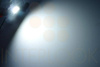 LED-Autolampe C5W 24 SMD 4014 CAN BUS