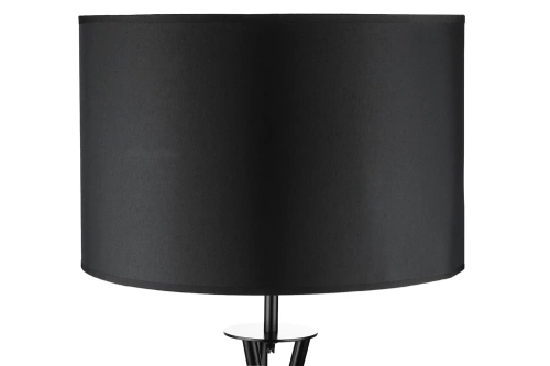 Schwarze Stehlampe | Modernes, stilvolles Licht für Wohnzimmer, Schlafzimmer | Schwarze Stehlampe mit Metallgestell | HM113-BLACK
