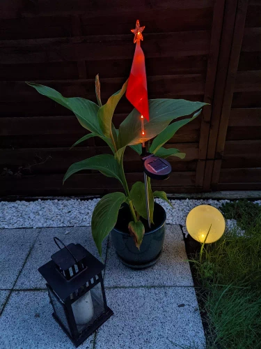 LED-Gartenleuchte solar gesteckt Flagge Polen | 73 cm 600 mAh | FLD-12-PO